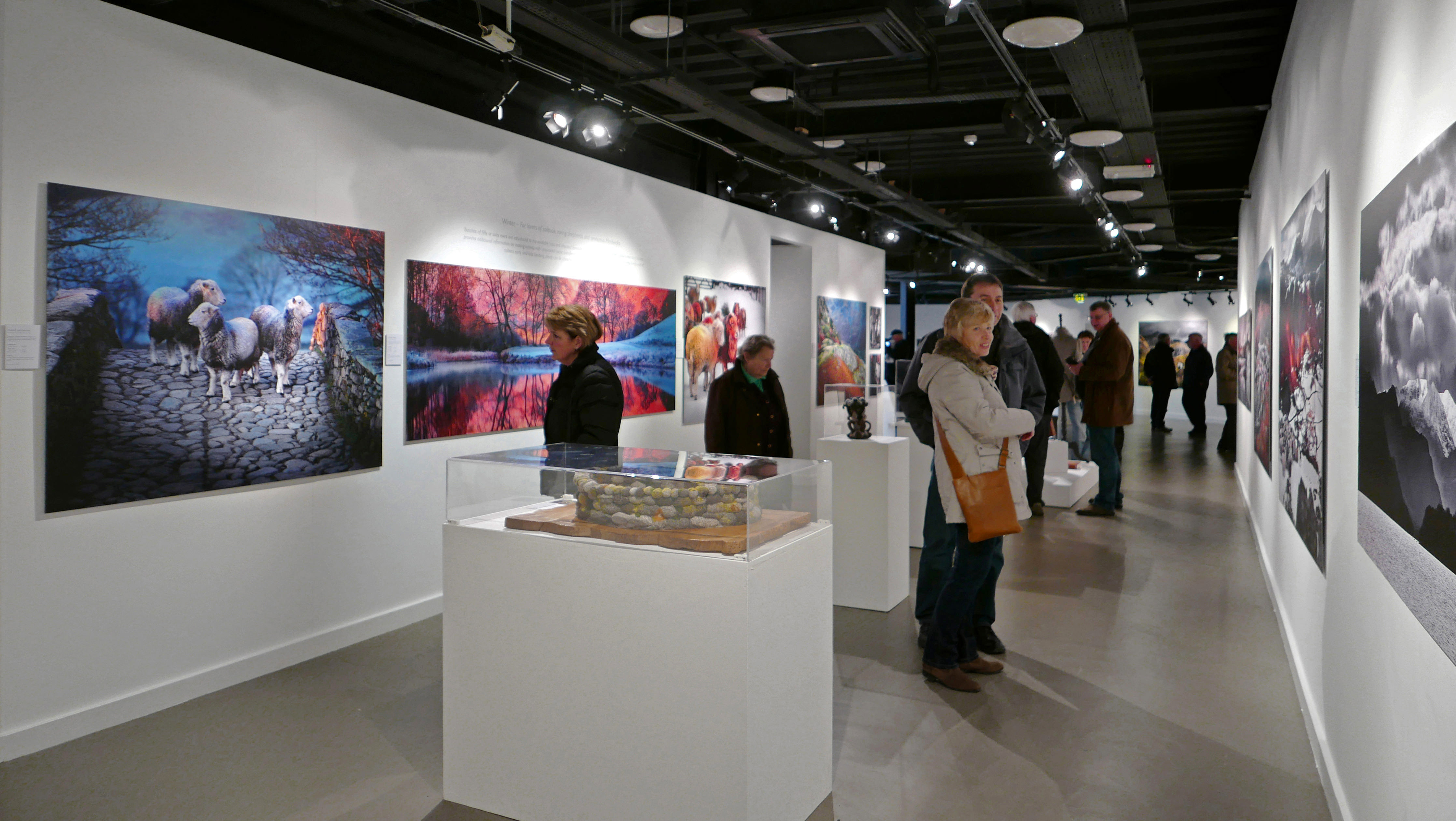 Ian Lawson Books Herdwick A Portrait of Lakeland