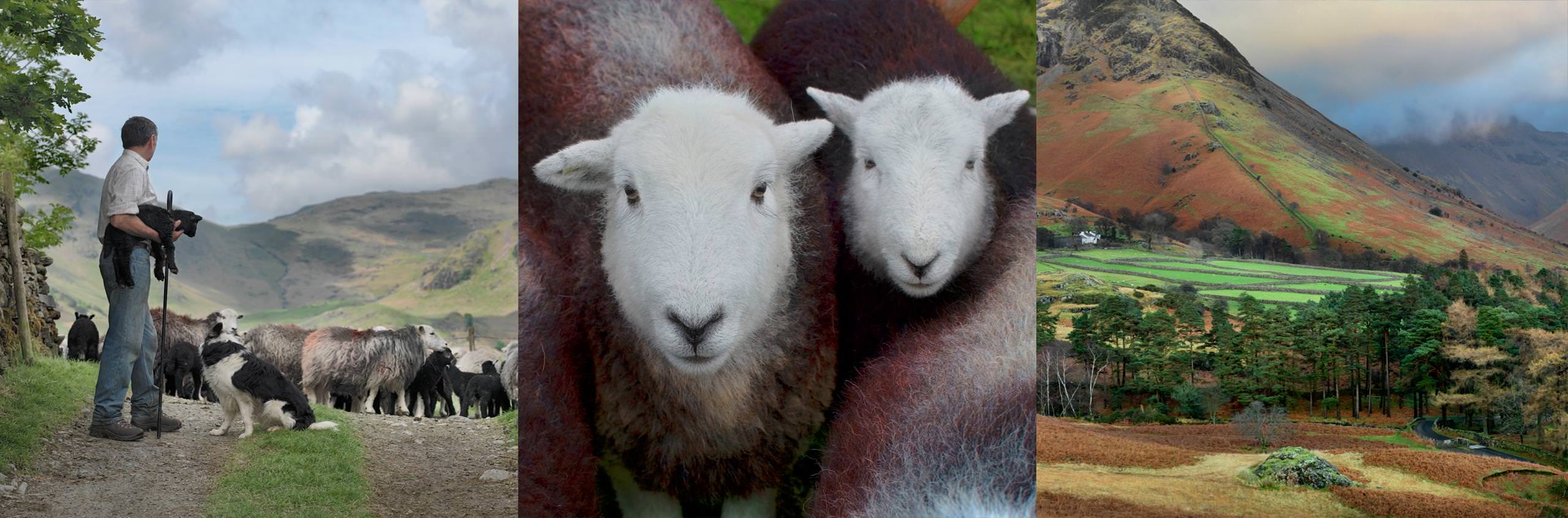 Ian Lawson Extraordinary Books Beautiful Prints