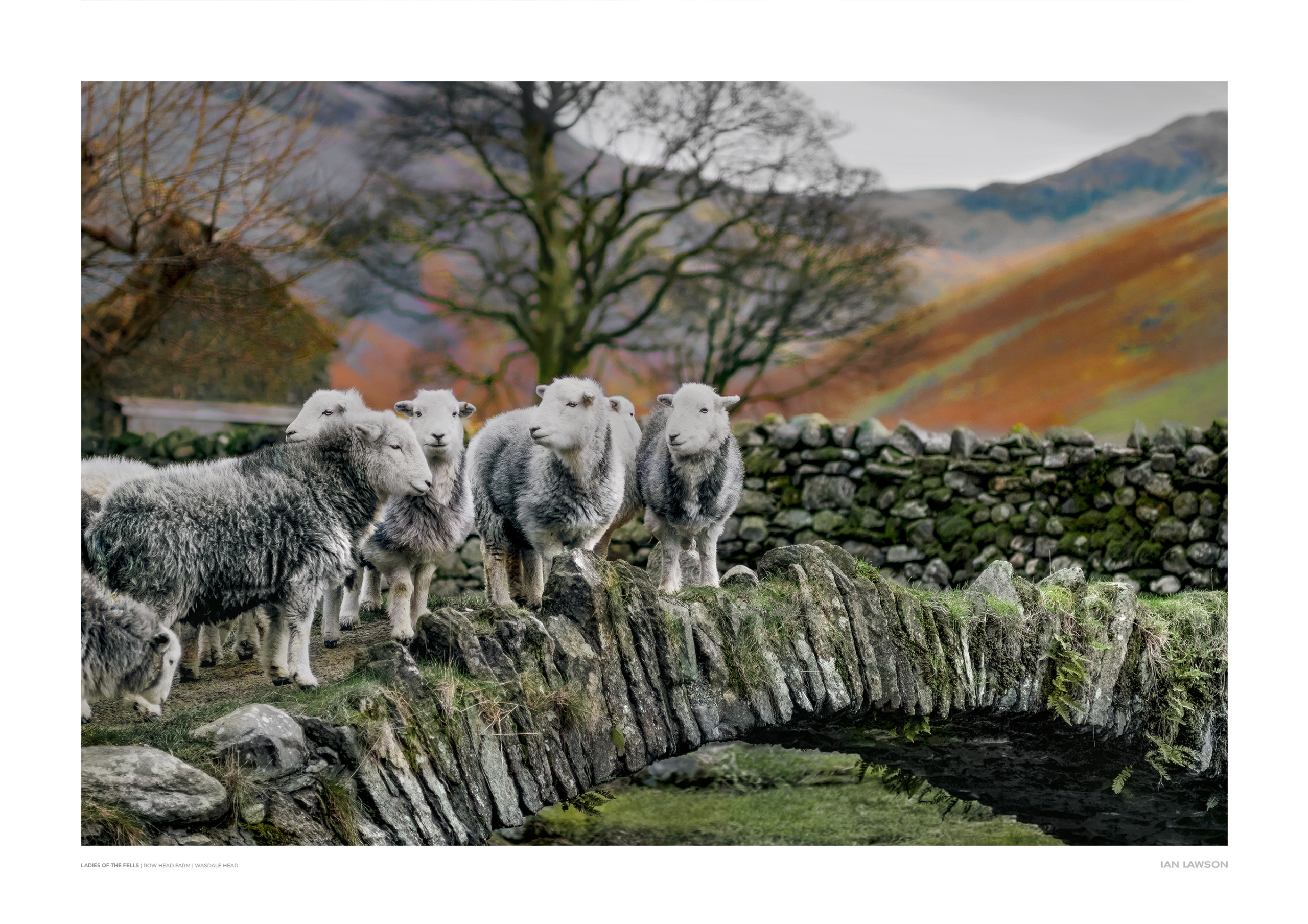 Ladies of the Fells 1920