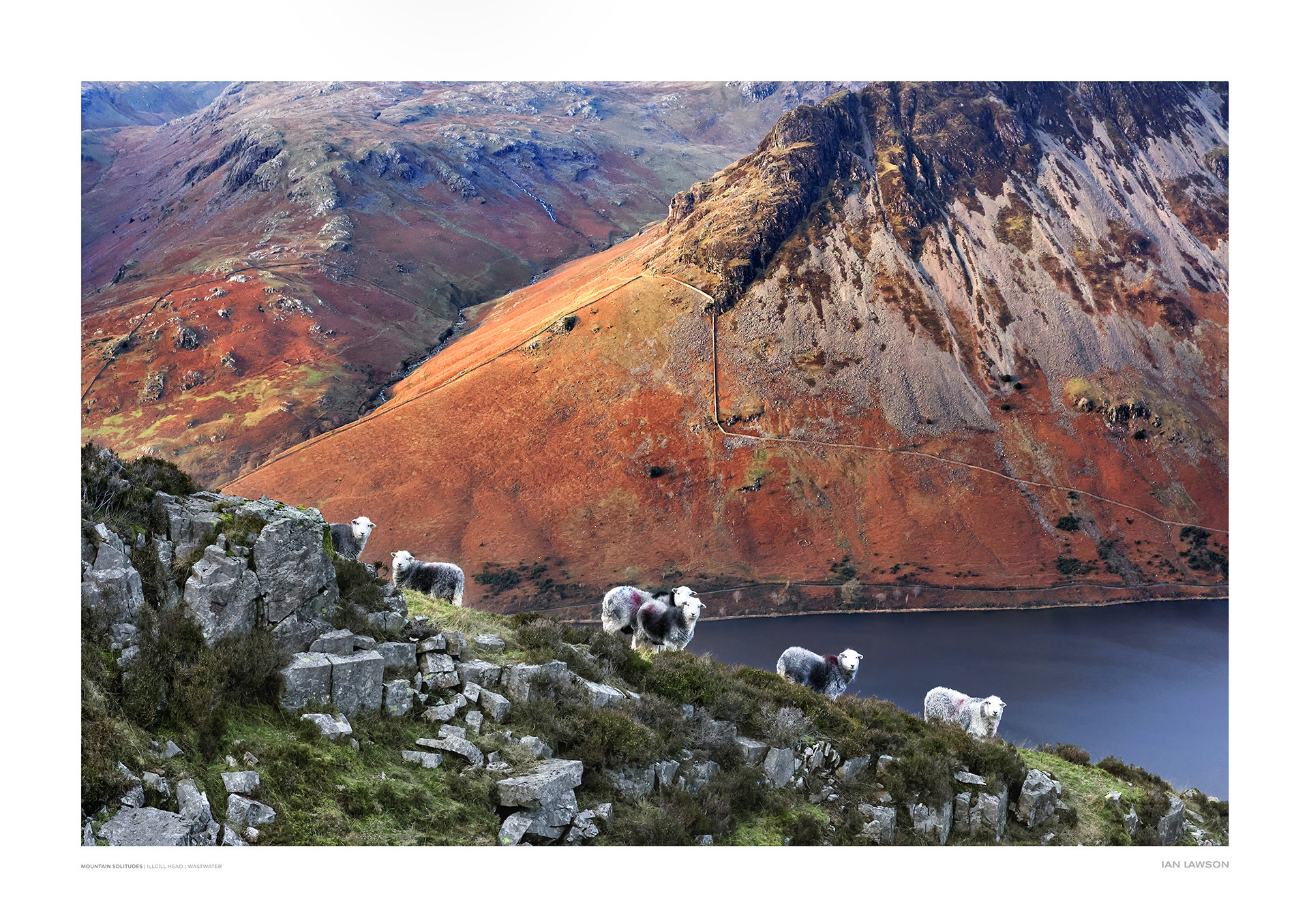Mountain Solitudes
